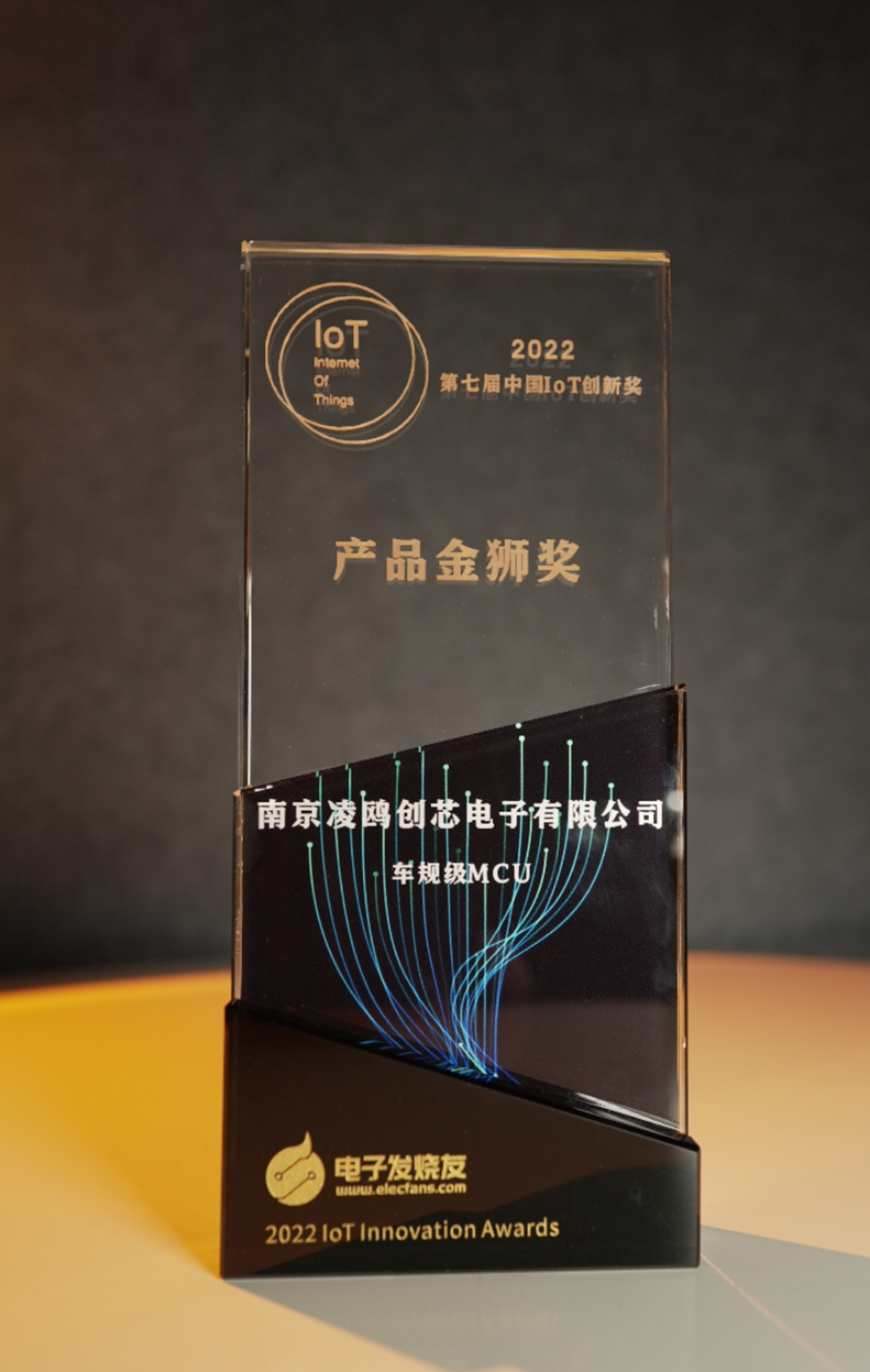 产品金狮奖.jpg
